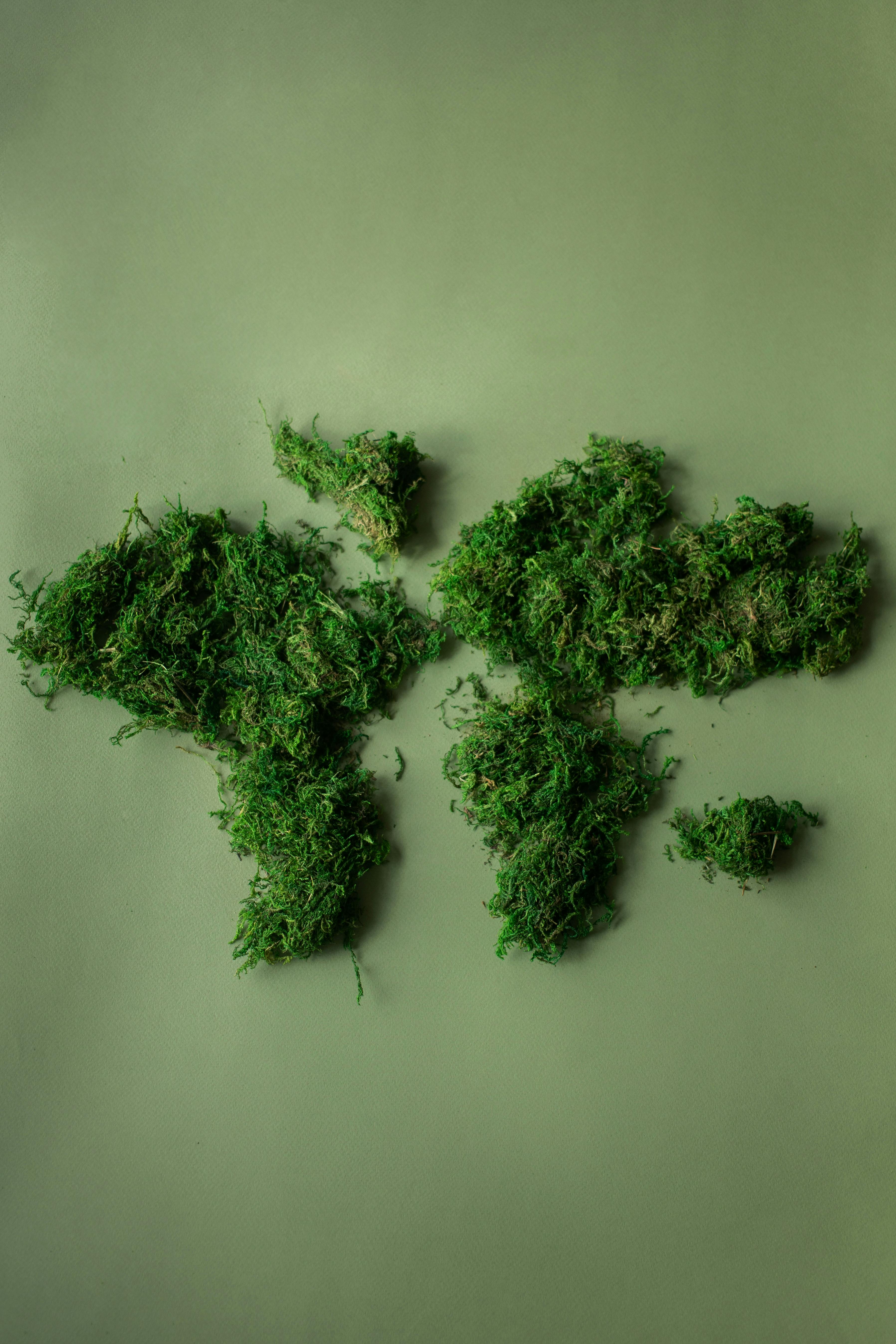 Do Businesses Even Need Environmental Product Declarations (EPDs)?